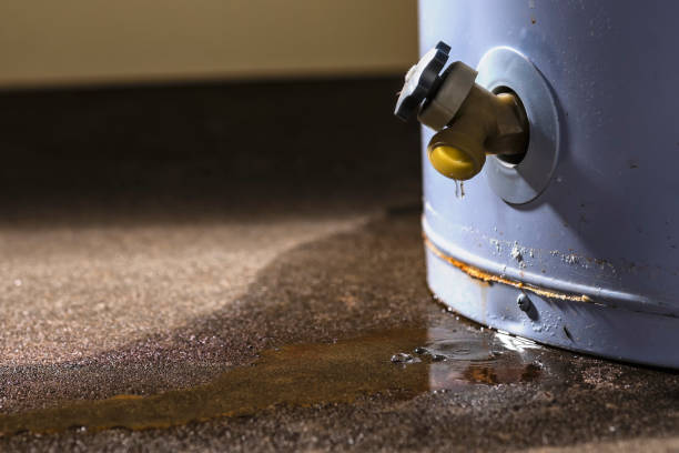 Best Residential water damage restoration  in Little Silver, NJ