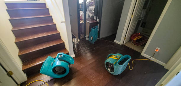 Best Local water damage restoration  in Little Silver, NJ