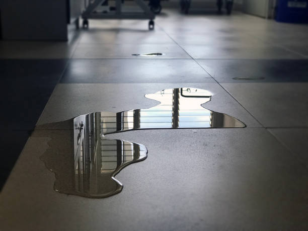 Best 24/7 water damage repair  in Little Silver, NJ