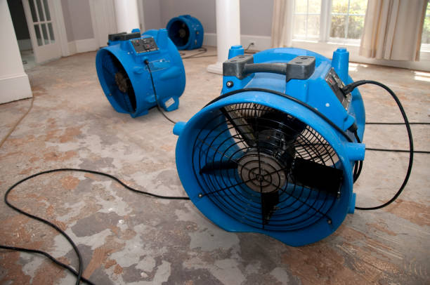 Best Water damage cleanup near me  in Little Silver, NJ