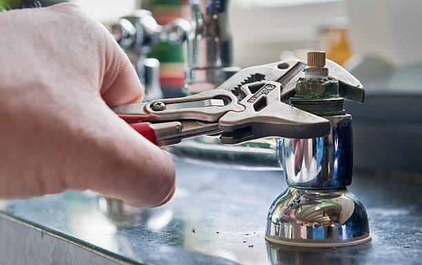 Best Water damage cleanup near me  in Little Silver, NJ