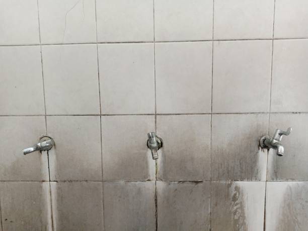 Best Carpet water damage restoration  in Little Silver, NJ