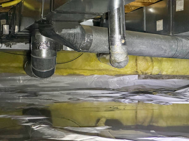 Best Basement water damage restoration  in Little Silver, NJ