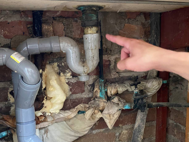 Best Carpet water damage restoration  in Little Silver, NJ
